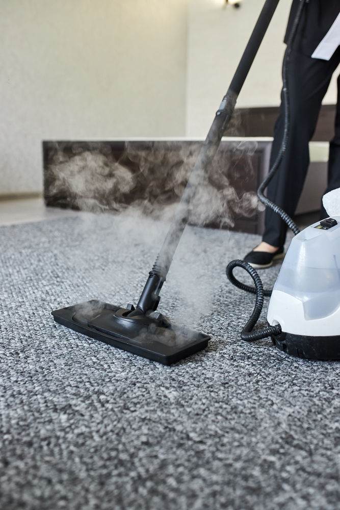 Carpet Cleaning